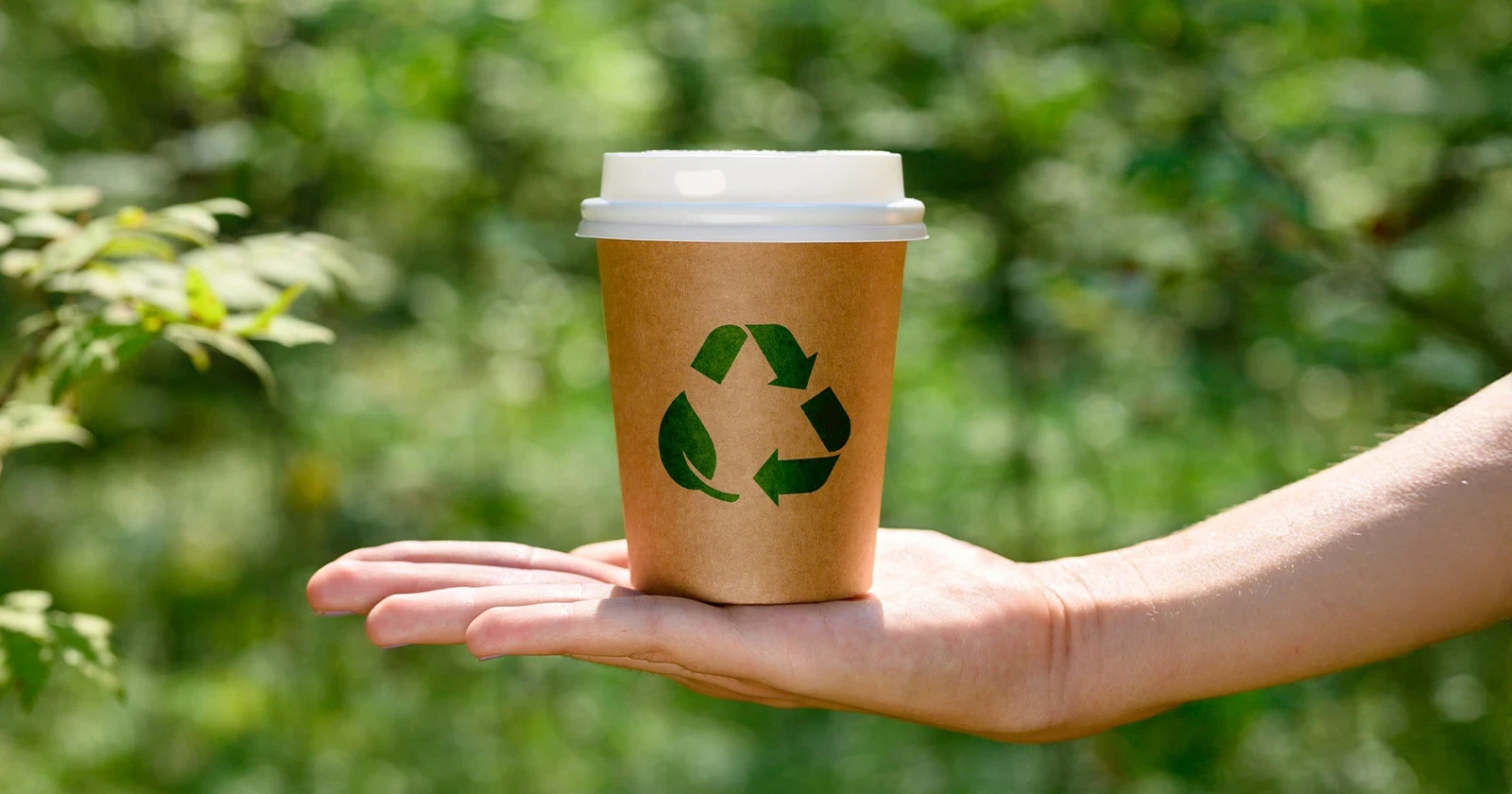 Copo de papel biodegradável: Uma escolha sustentável que fortalece sua marca